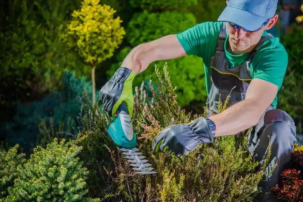 landscaping services Heritage Creek